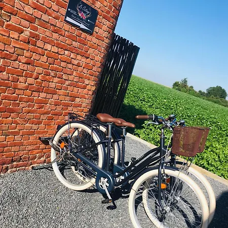 D Hotes Le לינה וארוחת בוקר Boeseghem