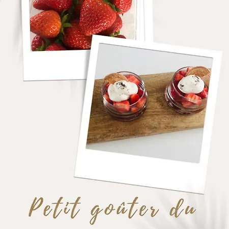 D Hotes Le 住宿加早餐酒店 4*